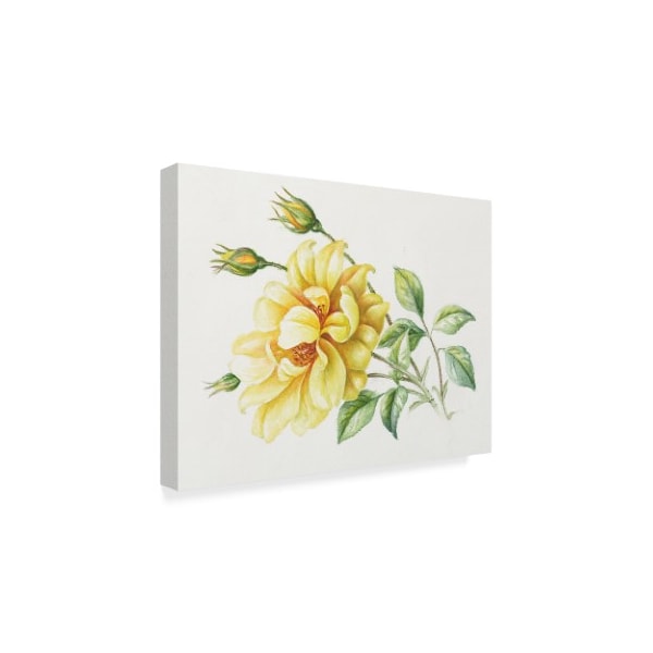 Janneke Brinkman-Salentijn 'Yellow Rose' Canvas Art,35x47